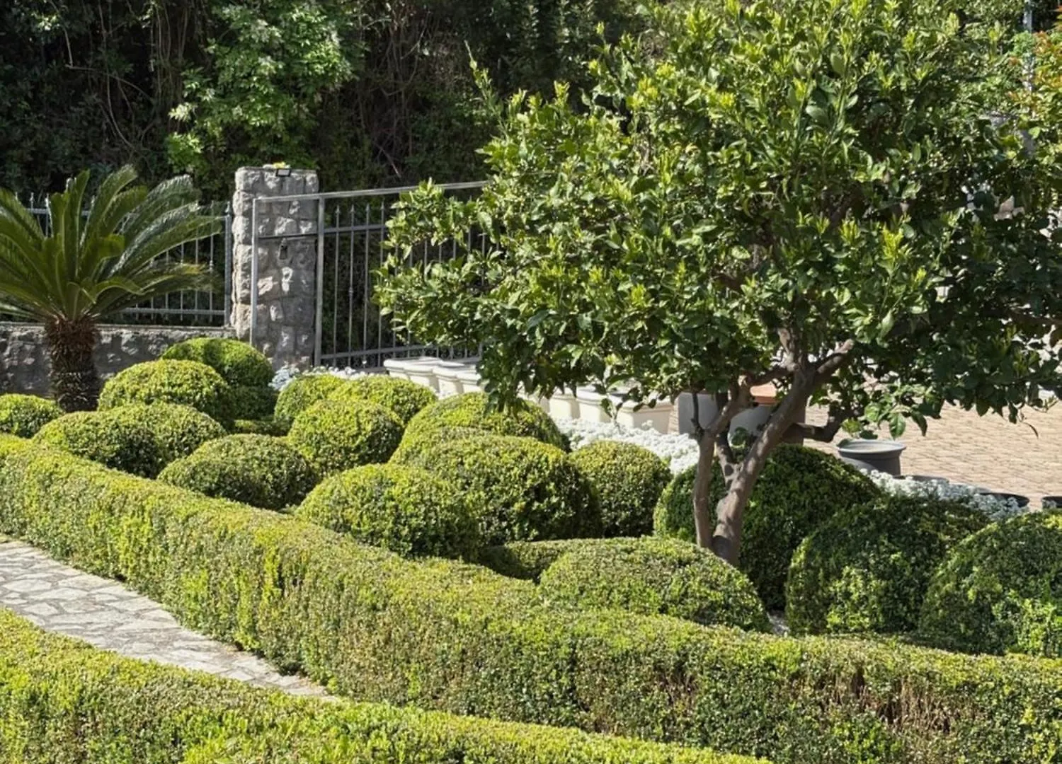 Bed And Breakfast Villa Iris Moscenicka Draga Bed & Breakfast