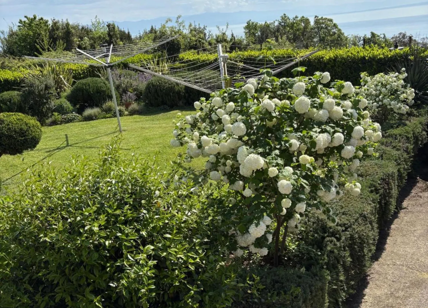 Bed And Breakfast Villa Iris Moscenicka Draga Bed & Breakfast