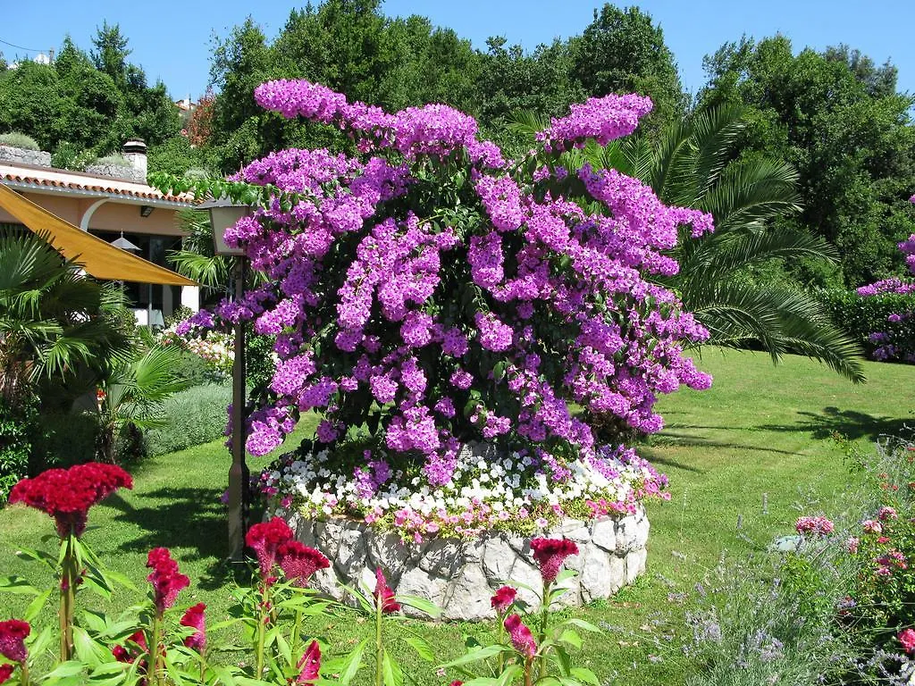 *** Bed & Breakfast Bed And Breakfast Villa Iris Moscenicka Draga Croatia